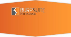 Burp Suite Pro 2021.8.2 Build 9403 With Crack [Latest] 2021 Download